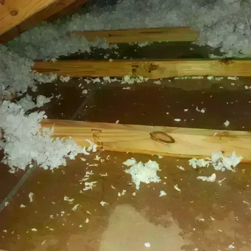 Attic Water Damage in Brown County, WI