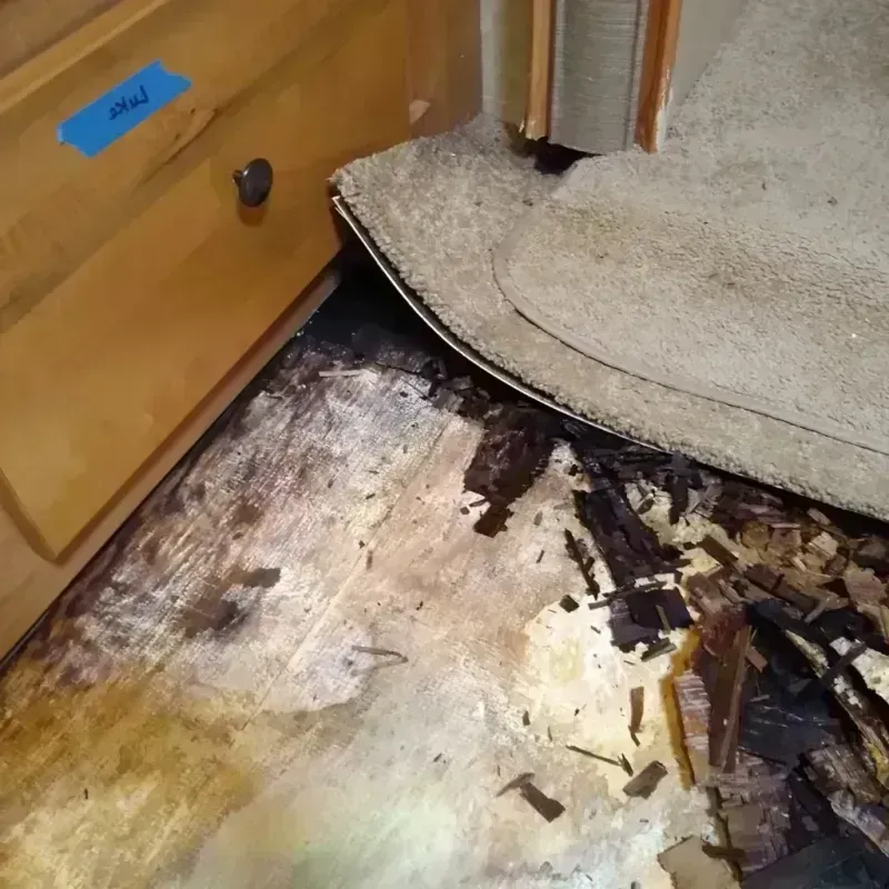 Wood Floor Water Damage in Brown County, WI